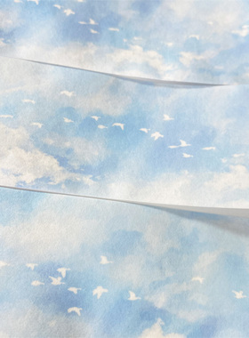 手帐分装胶带o3青天白日zero天空飞鸟和纸古风素材账流麻贴纸咕卡