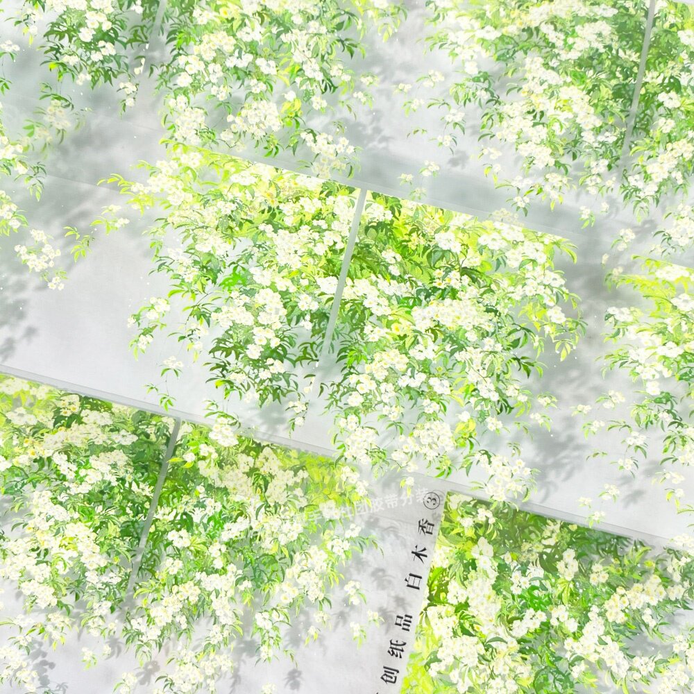 手帐分装胶带白木香③zero梨花群开景古风PET素材账流麻贴纸咕卡