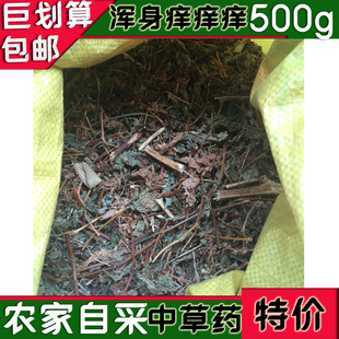 浑身痒痒韶关始兴农家自采野山中草500g 止痒煲水洗澡擦表皮分4次