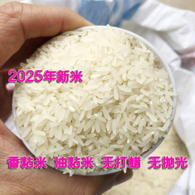 正宗韶关马坝油粘米不抛光