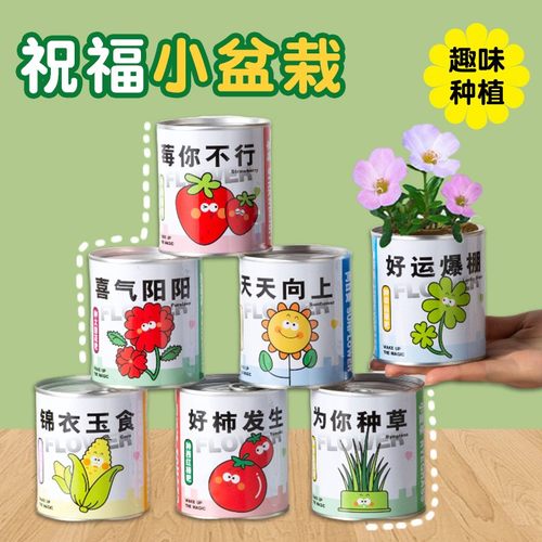 儿童罐头创意小盆栽礼物栽培桌面迷你绿植草莓向日葵种植种子盲盒