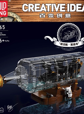 宇星10065-6百变创意系列漂流瓶黑珠复仇号拼装diy小颗粒积木玩具
