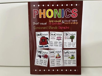 点读版大字版自然拼读Phonics Poster幼小衔接启蒙英语支持小蝌蚪