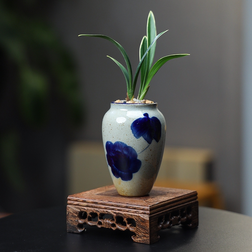 掌中宝陶瓷花盆栽四季建兰花卉绿植兰花苗带花苞名贵精品红木底座