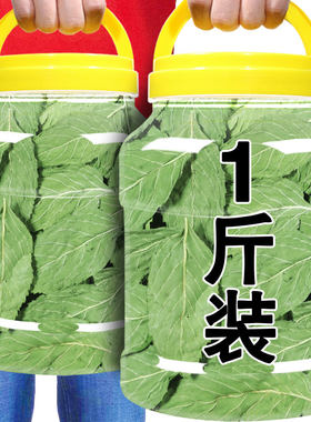 鲜薄荷茶薄荷叶干中药材