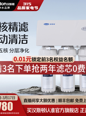 汉斯顿净水器0阻垢剂家用自来水过滤RO反渗透直饮除垢净水机02