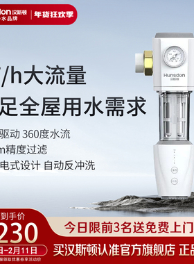 汉斯顿净水器主管道稳压型前置家用厨房过滤器HP-L40全自动款