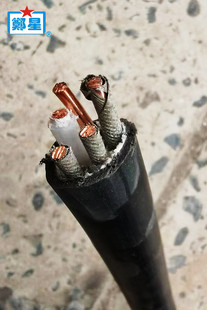 郑州三厂电线ZCN-YJV5X4/5X6/5X10平16国标阻燃耐火三相铜芯电缆