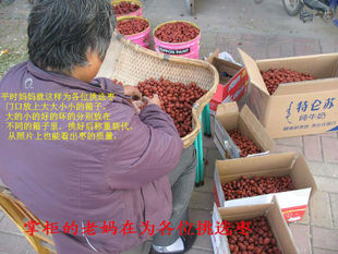 山东乐陵金丝小枣促销红枣非新疆沧州红枣36元＝5斤