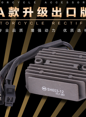 适用本田铁马400/600 STEED大蚂蚁/BR0S400整流器稳压器充电器/硅