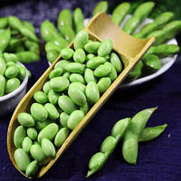 Frozen fresh edamame kernels, large green beans, shelled, New Zealand frozen green beans, sweet beans, peas, fruits, corn kernels thumbnail 8
