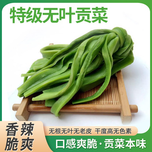 貢菜 包郵 500克無葉苔干 干貨土特產脫水蔬菜比萵筍干更脆 苔菜