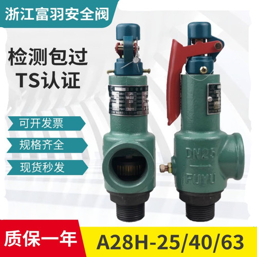 弹簧式安全阀A28H-25/40/64富羽