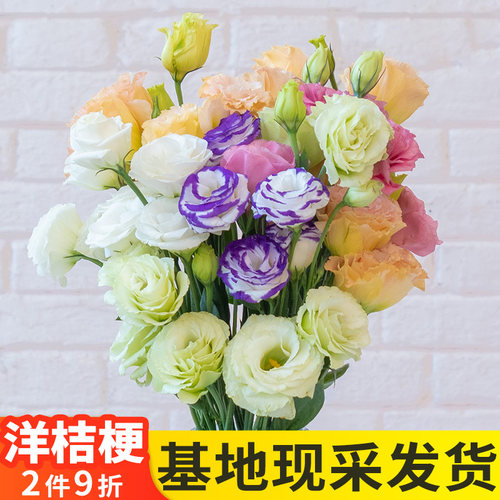 云南昆明洋桔梗水养鲜花