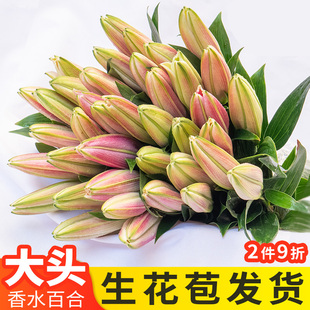 云南鲜花基地直发香水百合鲜切花真花向日葵玫瑰混搭花束重瓣百合