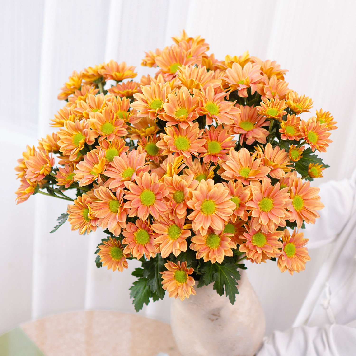 三文鱼雏菊鲜花云南基地直发优质家庭水养鲜花水养稀有色小雏菊,鲜花速递/花卉仿真/绿植园艺,花材,淘宝优惠券,粉丝福利购,淘宝优惠卷