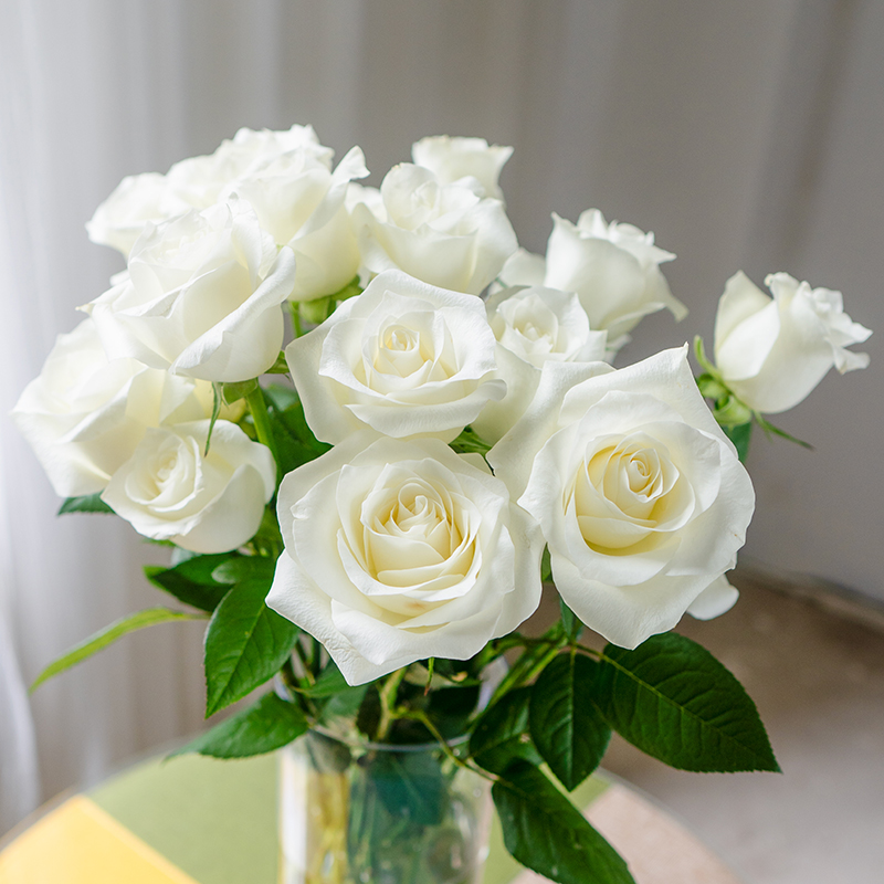 AB级玫瑰花鲜花骄傲白玫瑰鲜花云南基地直发鲜切花家庭水养鲜花