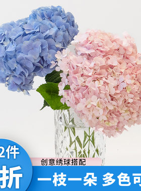 绣球花鲜切花束家庭水养鲜花套餐