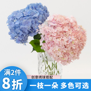 绣球花鲜切花材云南基地直发家庭水养鲜花套餐绣球花束搭配推荐