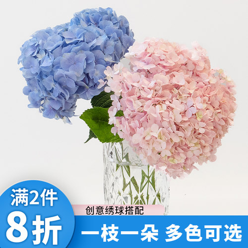 绣球花鲜切花束家庭水养鲜花套餐