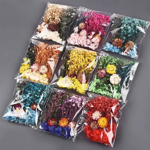 Natural Plants Dried Starry Sky Flowers Preserved Materials