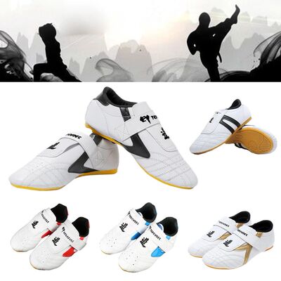 Taekwondo Shoes Breathable Kung Fu Shoes Tai Chi shoes