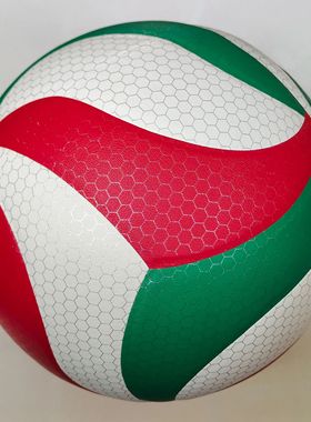 Professional Volleyball,  outdoor sports, volleyba