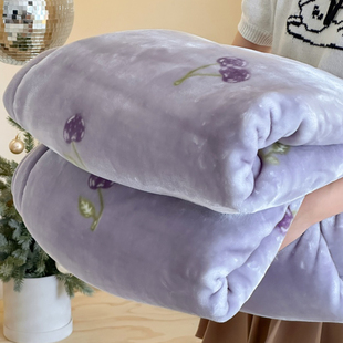 毛毯冬季加厚保暖拉舍尔盖毯床单人宿舍学生牛奶珊瑚绒被子床上用
