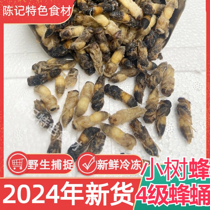 2024树蜂葫芦蜂4级蛹新鲜冷冻蜂儿子马蜂蛹胡蜂蛹黄蜂幼虫高蛋白