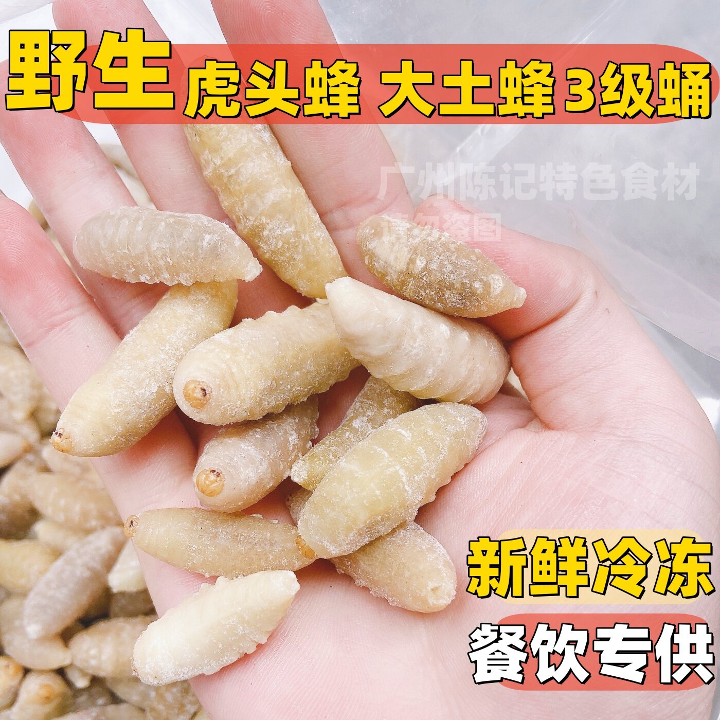 正宗虎头蜂3级蜂蛹新鲜冷冻包邮