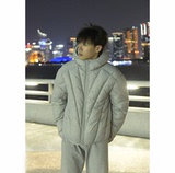 25/冬季~鳞甲V型排骨棉衣YY91-P110，男装棉衣，电商A330-1