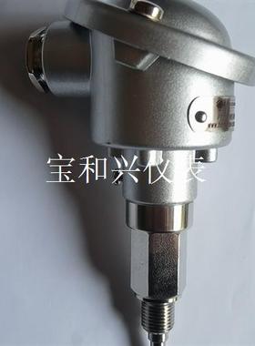 热测温度传感器,PT100,THERMOTRON-CE,探头