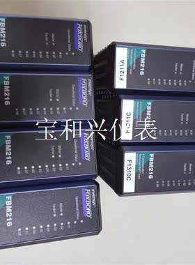FOXBORO福克斯波罗FBM216  P0922VV  成