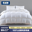 五星级酒店白鹅毛被子羽毛被芯95白鹅毛绒丝被春秋被加厚冬季 冬被