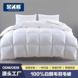 五星级酒店白鹅毛被子羽毛被芯95白鹅毛绒丝被春秋被加厚冬季冬被
