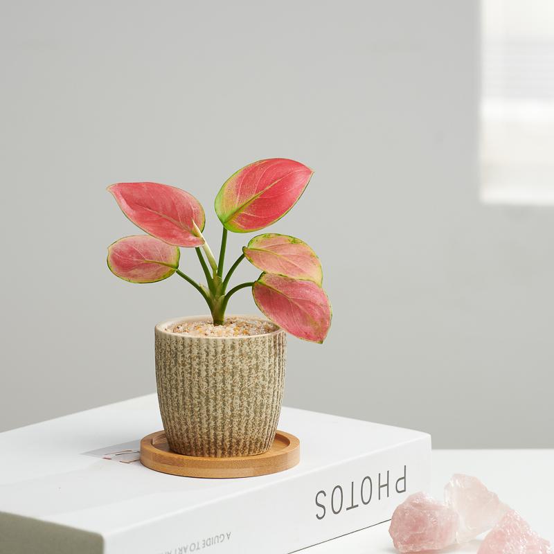 吉利红客厅办公桌净化空气