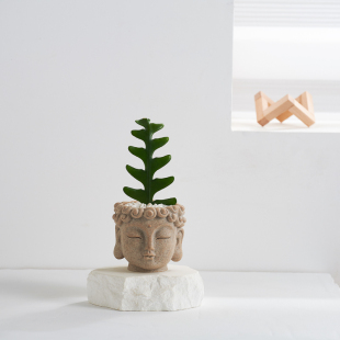 佛头摆件鱼骨令箭仙人掌禅意盆栽室内好养绿植创意礼物好养易活