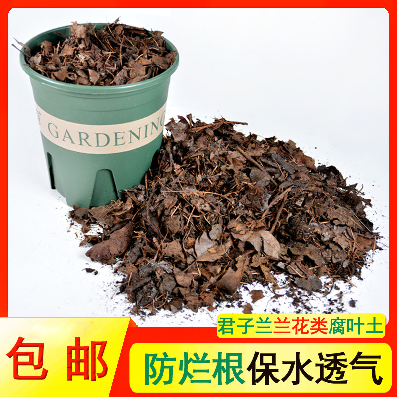 君子兰科专用土腐烂树叶基质土盆栽兰花营养土烂叶发酵腐叶培养土