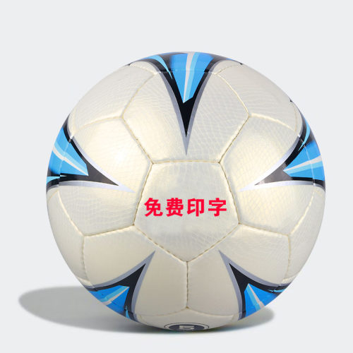 路克士手缝足球4号5号球免费印字