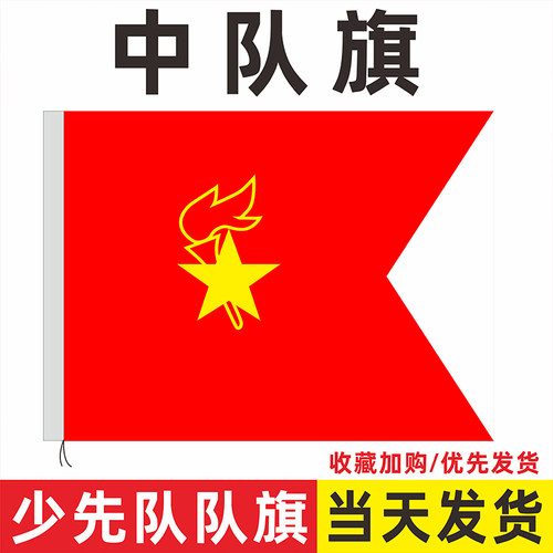 飘升少先队队旗中队旗