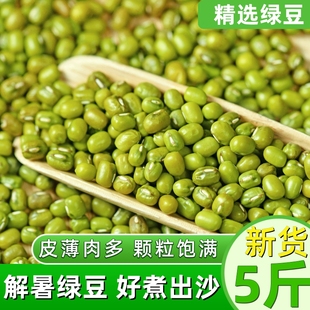 解暑绿豆5斤新鲜农家绿豆汤粥糕原料可脱皮发芽专用杂粮小粒绿豆