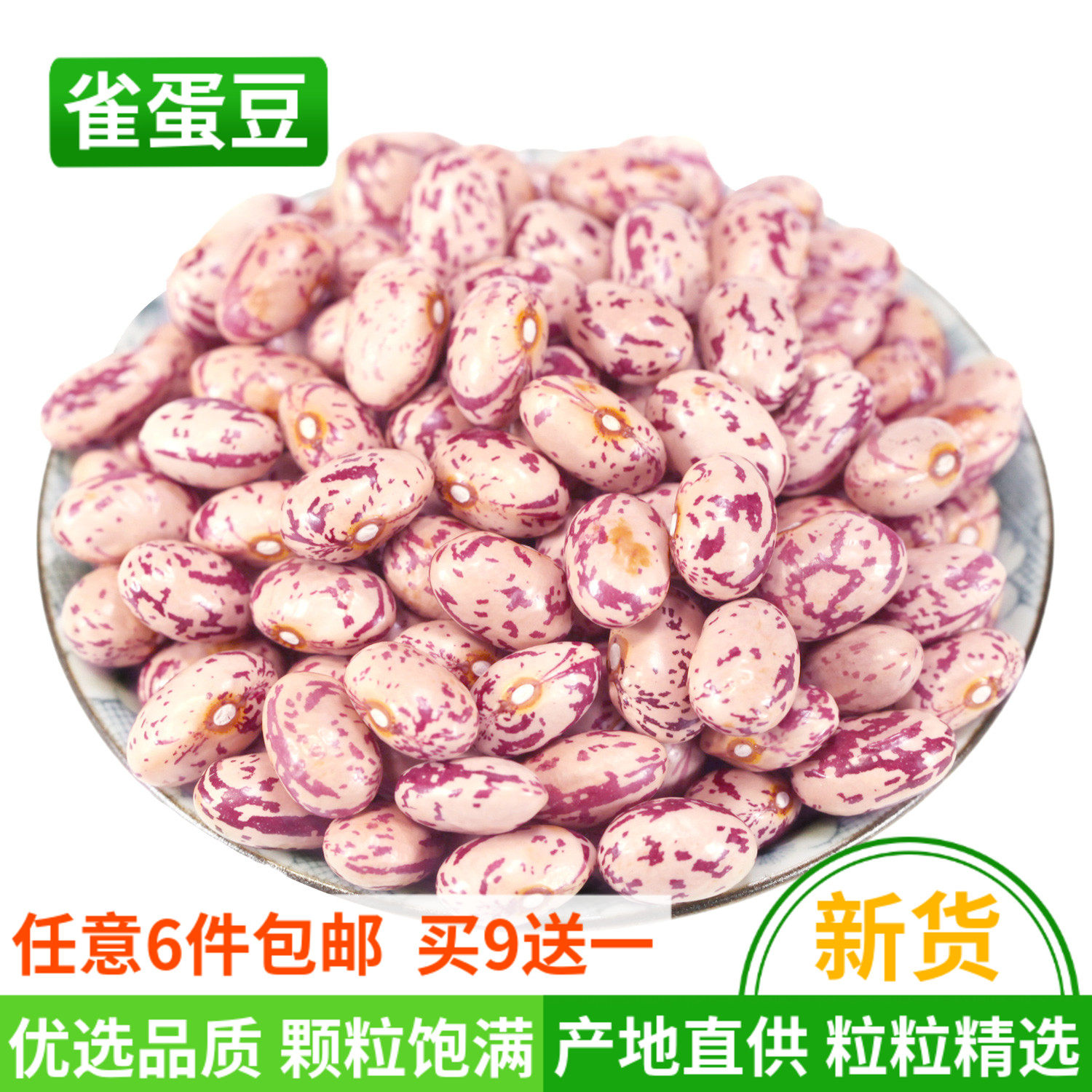 豆蛋雀价格 豆蛋雀图片 星期三