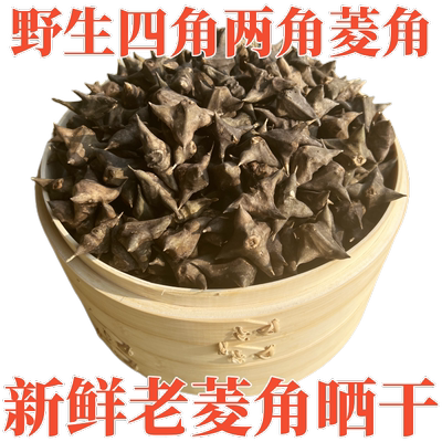 野生菱角湖北四角农家现摘