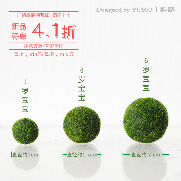 【日本正品MARIMO】幸福海藻球 日本毬藻marimo 赠营养液满2减4