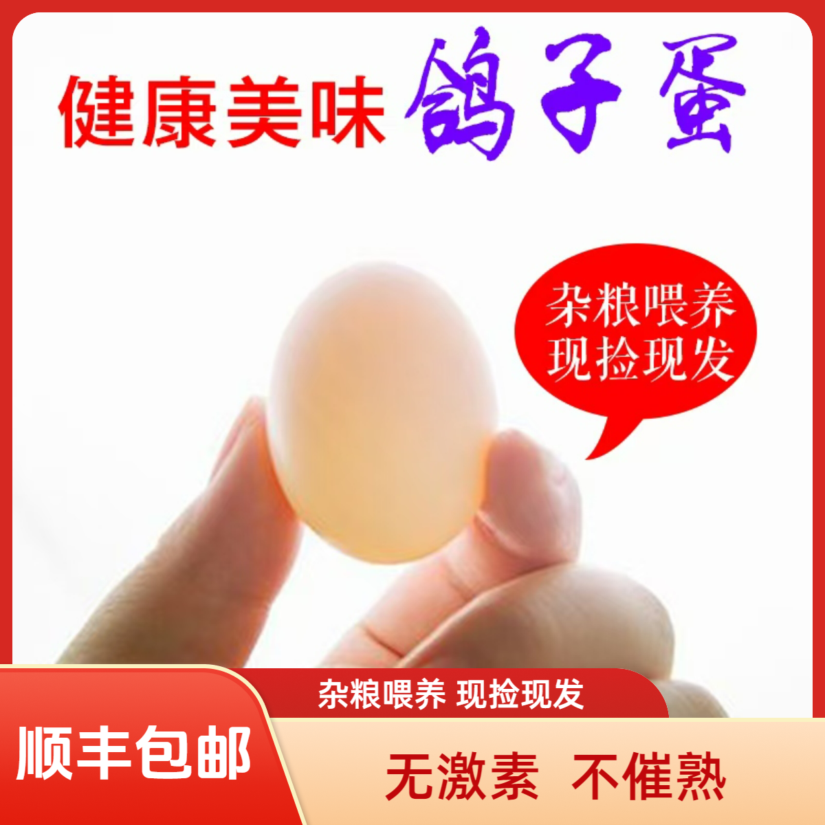 农家鸽子蛋包邮信鸽30枚20g以上五谷杂粮喂养白鸽蛋新鲜宝宝辅食