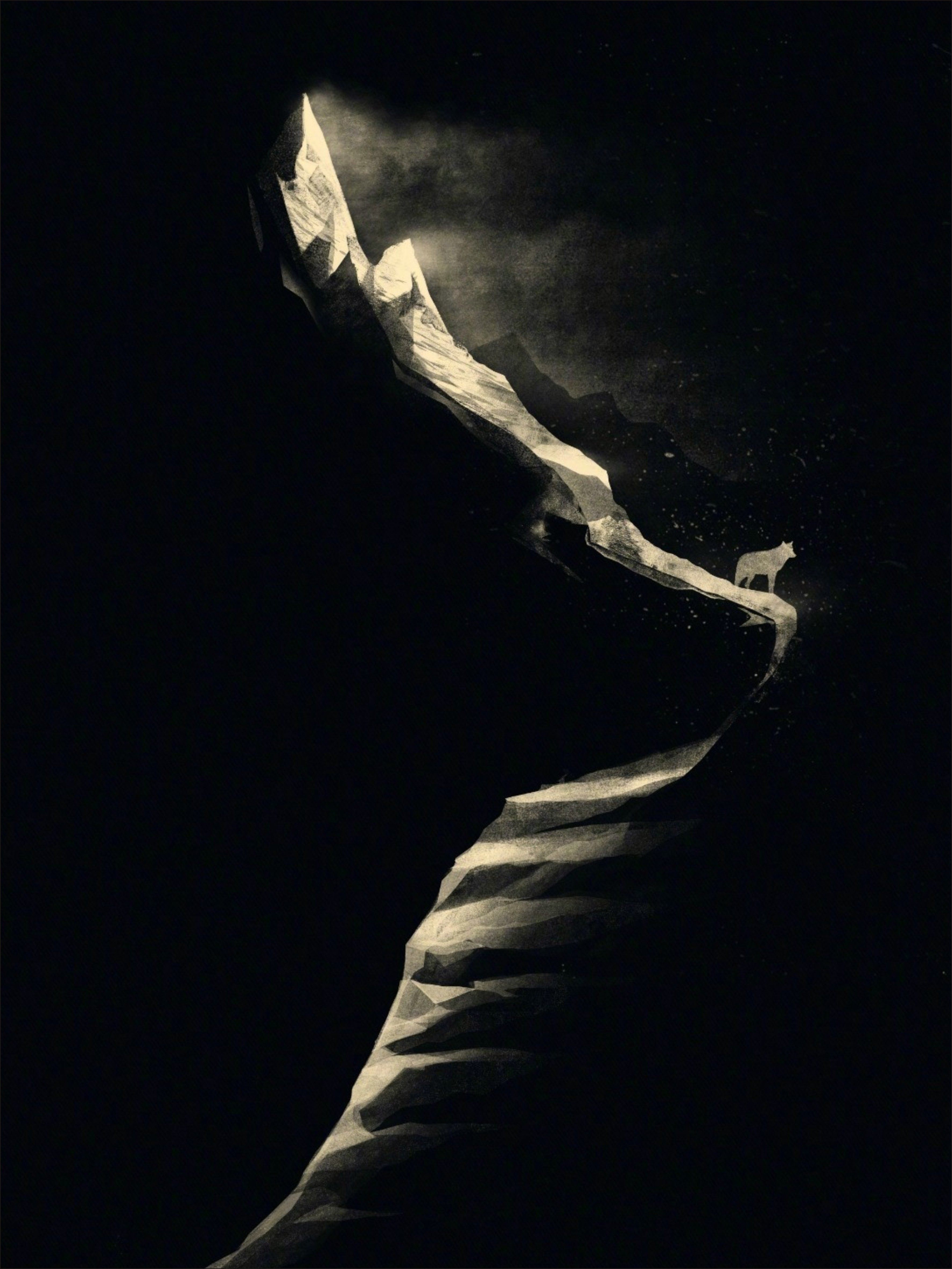 黑夜狼头山上的孤狼雪狼白狼客厅房间卧室挂画壁画无框画装饰画