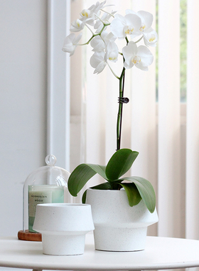 北欧大口径水泥花盆白色兰花蘑菇多肉陶盆蝴蝶兰多肉盆栽盆器