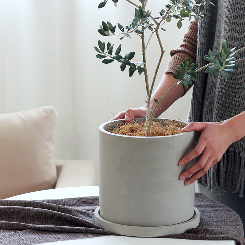 侘寂风ins水泥花盆圆形日式陶盆绿植北欧简约大圆柱透气盆栽盆器