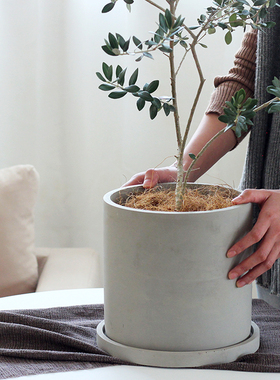 侘寂风ins水泥花盆圆形日式陶盆绿植北欧简约大圆柱透气盆栽盆器