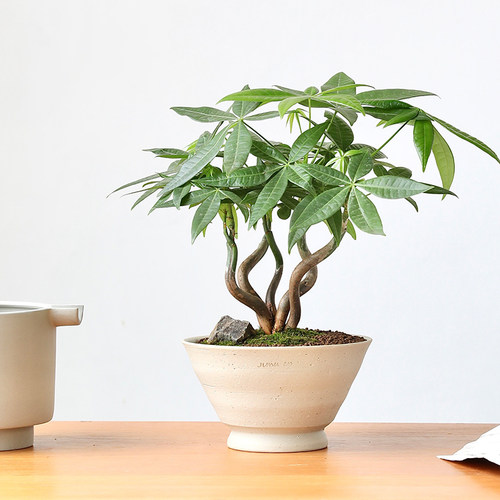 侘寂风粗砂复古陶土花盆
